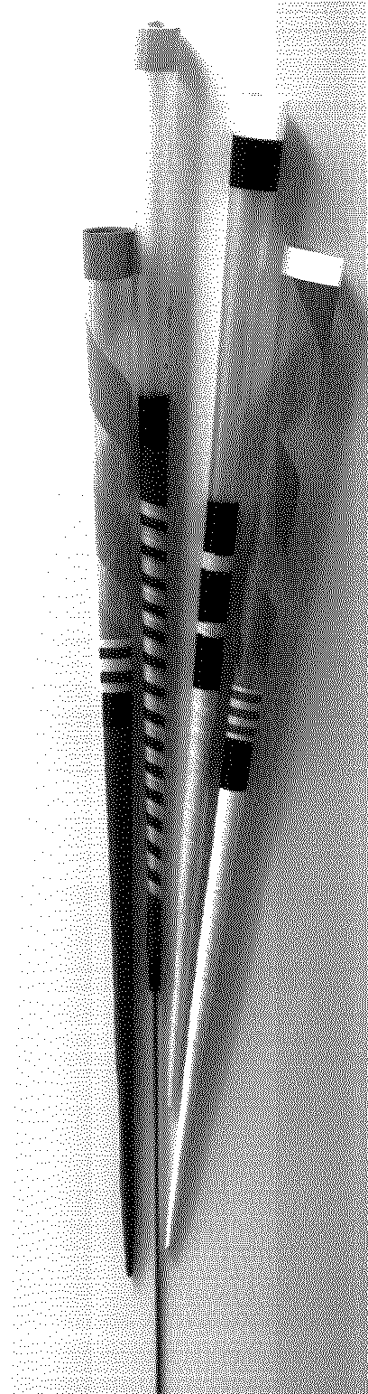 Les fl&egrave;ches Sarbacana (8 gr)    Copyright DIOPTAZ Sarbacana